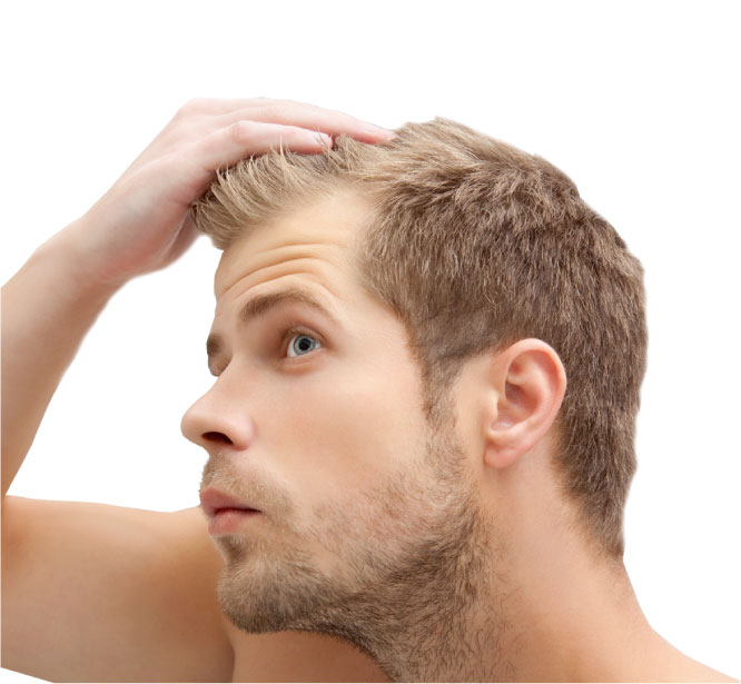 Saç Ekim -  Esteviva Hair Clinic